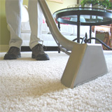 Contempo Carpet and Area Rug Cleaning